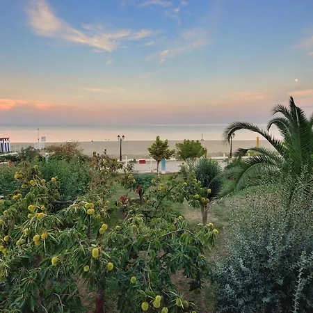 Apartment Ziogas Paralia Skotinis