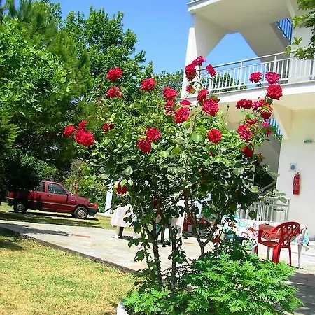 Apartment Ziogas Paralia Skotinis