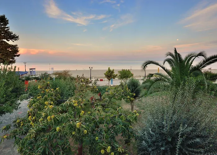 公寓 Ziogas Paralía Skotínis