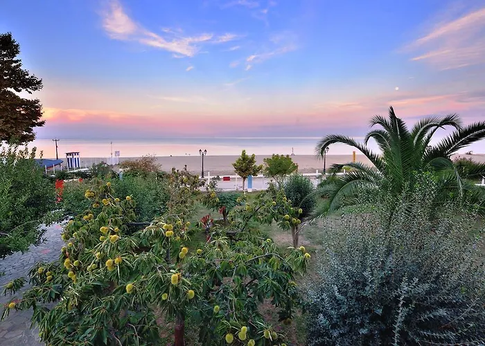 Ziogas * Paralía Skotínis